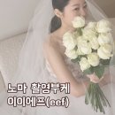 대구 노마 촬영 부케 이이에프 eef(노마하우스 웨딩촬영 부케 내돈내산)
