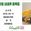 라라렙타일