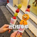 연남동 탕후루 판다탕후루 홍대 유기농 사탕수수 탕후루 맛집