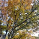 (주)남산 이미지