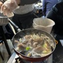 벌떼집 티스토리