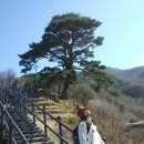 선돌촌마을 이미지