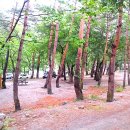 갈천오토캠핑장 이미지