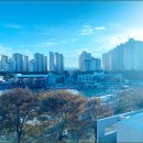 대선주조노동조합 | #부산여행기, &#34;지역민이 인정한 부산 로컬 맛집, 신호활어회센터 회 한 상&#34;