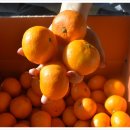 일반농장 이미지