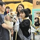 빈베이비