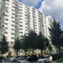 김영호치과의원 이미지