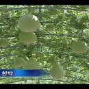 다산미술관 이미지