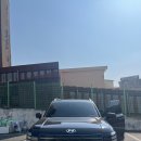 인수한의원 | 신차장기렌트 리스 대전 방문상담 한의원 원장님 펠리세이드 설계 후기