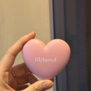 가을 꾸안꾸 블러셔🍂 리리바이레드 청순빔 vs 삐아 다우니피그 내돈내산 후기