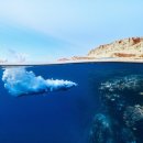 함양 행정사사무소 이미지