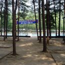 금원수목원수영장 이미지