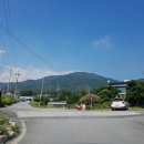 사슬치마을 | 255.충북 제천 송학산(817m) 外柔內剛의 부드러운 솔숲길(2019.10.4)