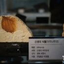 계룡산자연사박물관 이미지
