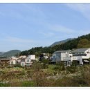 구리재_탑동마을 Daum카페