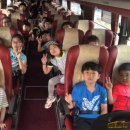 용인대 수 합기도 이미지