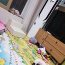 청단 Daum카페