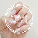 레푸스&네일몽