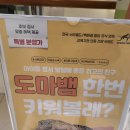 어반포레스트 | 의정부 신세계 파충류 팝업스토어 어반포레스트 후기