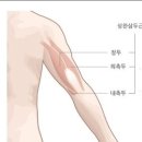 이케이GYM 이미지
