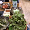 미정오리 이미지