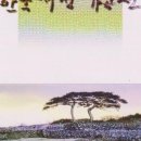 죽림서정이네 네이버블로그