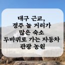 나랑놀개 | 대구 근교, 경주 놀 거리가 많은 숙소 두 바퀴로 가는 자동차 관광농원