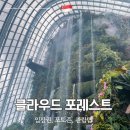 클라우드 - 수원시 팔달구 정조로 617-2 | 싱가포르 클라우드 포레스트 후기 입장료 예약부터 관람 코스까지 총정리
