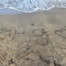 하양유도관 이미지