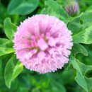 선학텃밭화장실 이미지