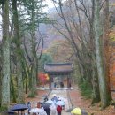 해인사 소리길 이미지