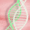 금난의 집 이미지