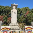 을축년 대홍수 100주년 추모문화제 이미지
