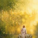 우림DC | 이더 5장 주석, 2026년 3월 8일, Commentary on Ether 5