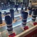 비원전자 이미지