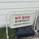 수바레 | <광주 근교 맛집 >담양맛집 아이와 부모님 모시고 가기 좋은 담양 한정식 황금소나무