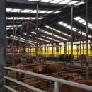 한우육가공농장 이미지