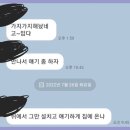 성광고등학교 이미지