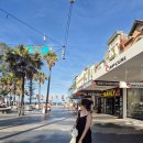 뉴송정하우스 | 6박 8일 시드니 여행 day6 ~7 (해피 셰프, 서큘러키 페리, 맨리 비치, 셸리 비치)