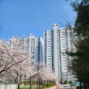 우림 루미아트 | 안성시, 안성공도 우림 루미아트 리모델링 줄눈시공