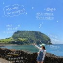 제주도 버스대절 45인승 동창여행 버스여행 제주숨비투어