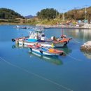 낭도 꿈뜰펜션 이미지