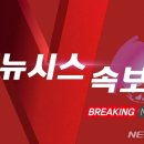 [속보]서울 1호선 지연…철로 무단진입 인명 사고 이미지
