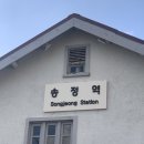 하운드 송정 이미지