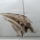 명진카서비스 이미지