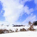 장성군삼서면보생보건진료소 이미지