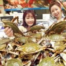 서해안마트 이미지