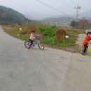 백양사역 이미지