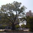 선어린이공원 이미지