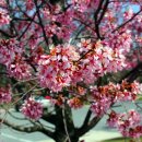 우린메드 이미지